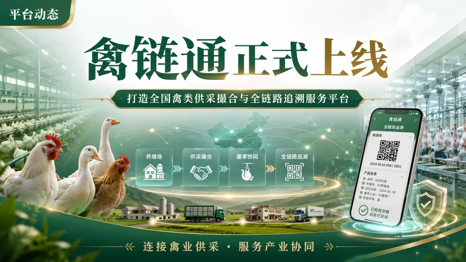 禽链通正式上线：打造全国禽类免费交易与全链路追溯服务平台