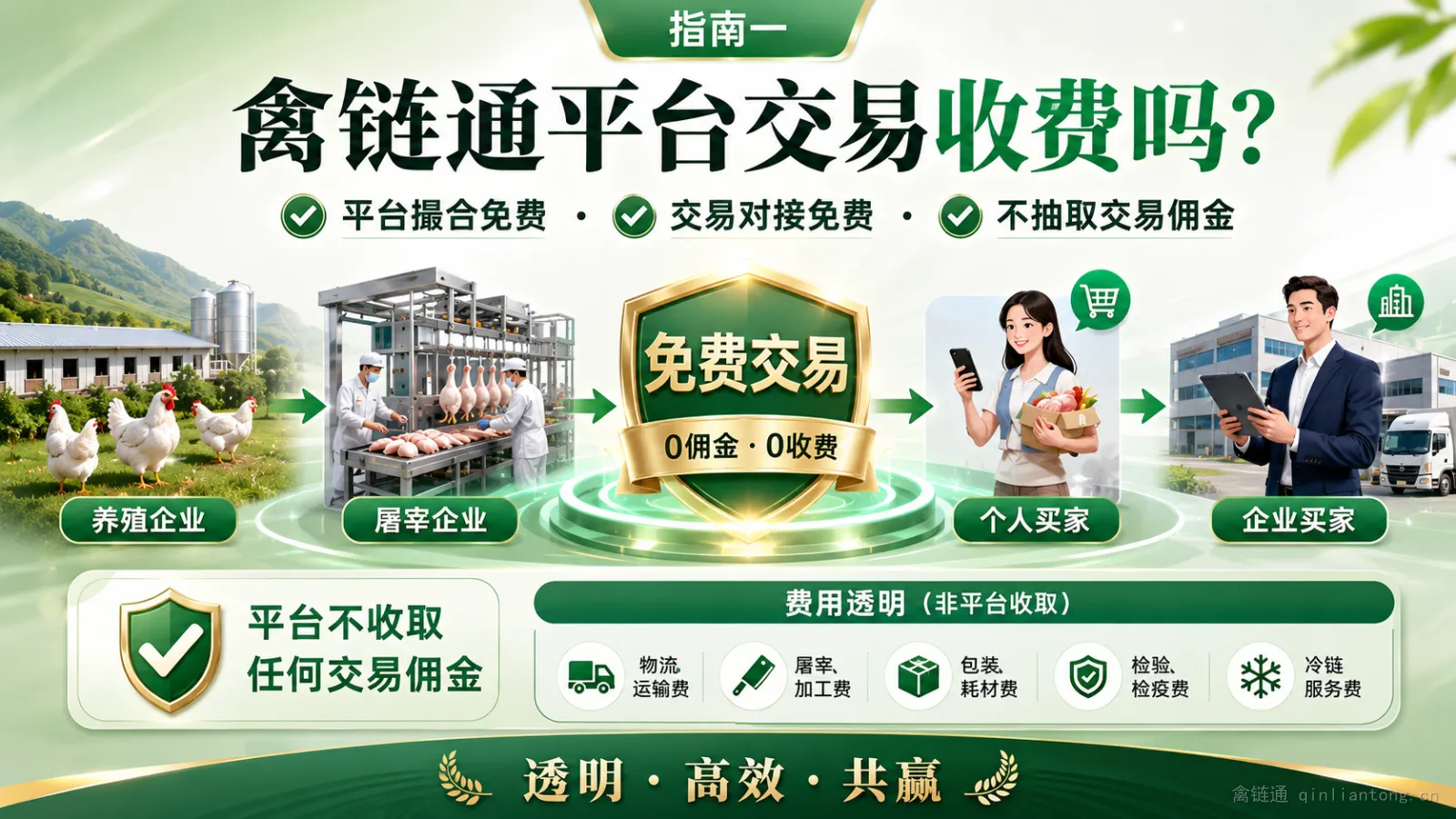 禽链通交易订单管理指南：询价、订单与履约