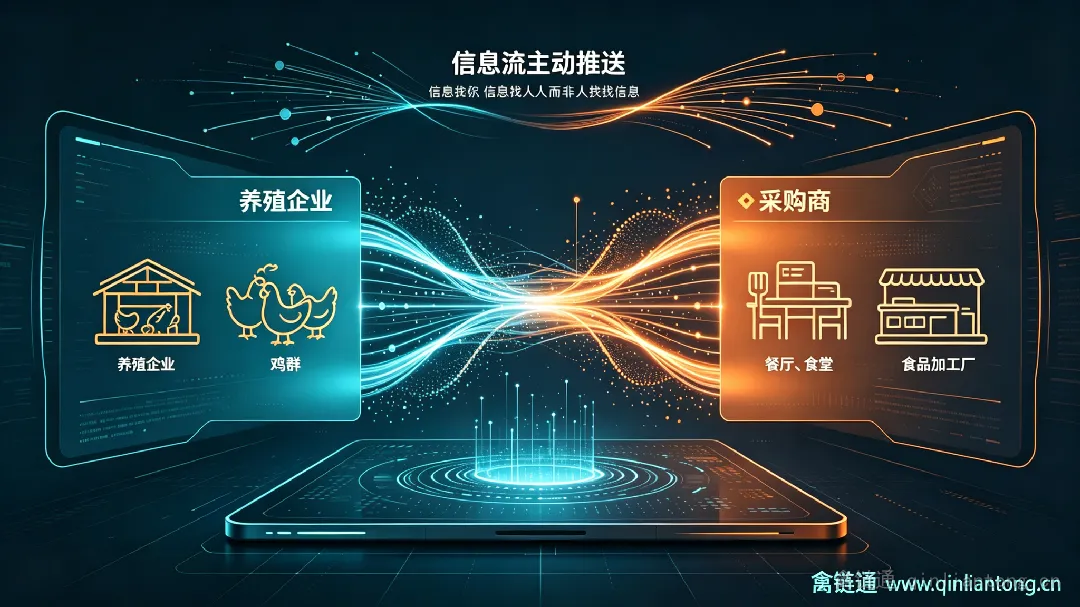 鸡还没出栏，市场能不能先找到你？禽链通给养殖端一种新思路